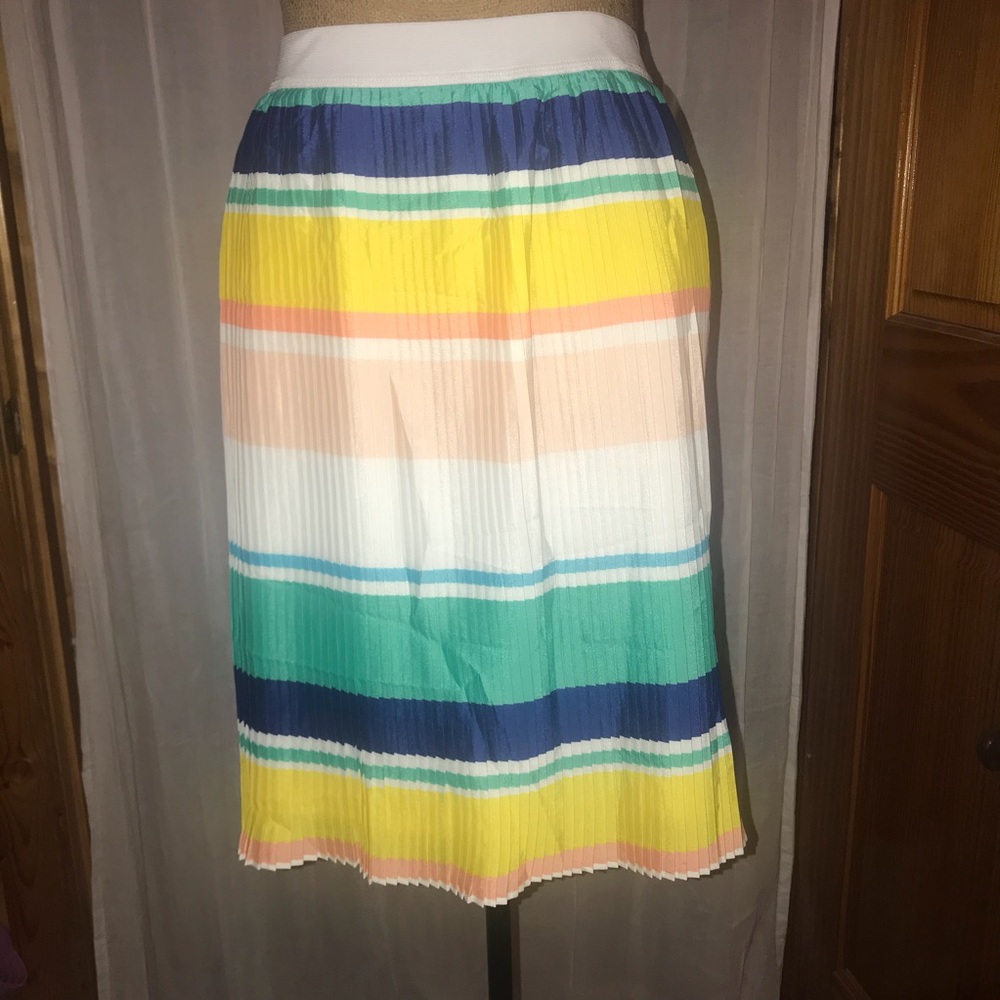 Rainbow accordion skirt